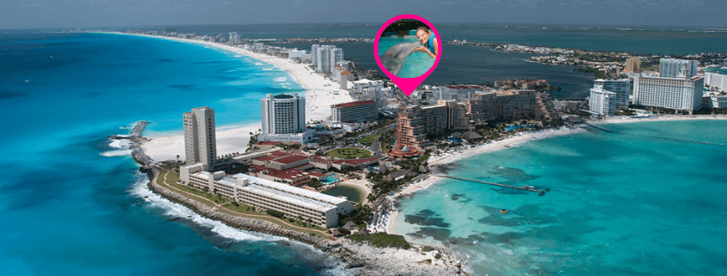 Swim with dolphins cancun hotel zone top 10 places to visit in cancun